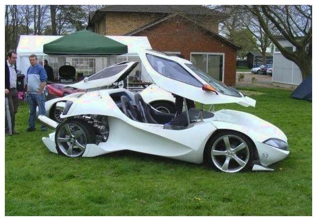 改头换面猜一动物,探索与诠释的奇妙旅程 改头换面猜一动物,探索与诠释的奇妙旅程