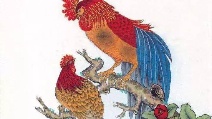 鸡头凤尾三缺一猜一生肖，的温馨解析与文化解答