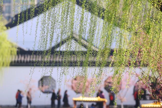 花红柳绿不夜天猜一动物，时代解释落实