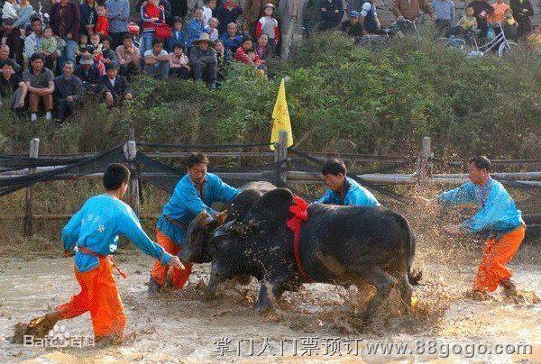 气吞牛斗与团结的力量，解锁生肖之谜