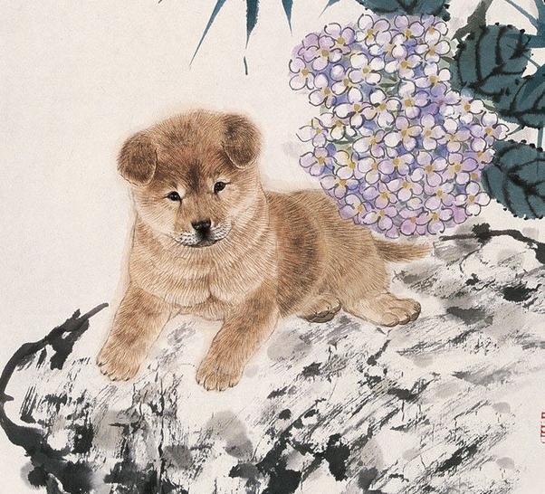 情有独钟打一生肖，佩服作答落实解释