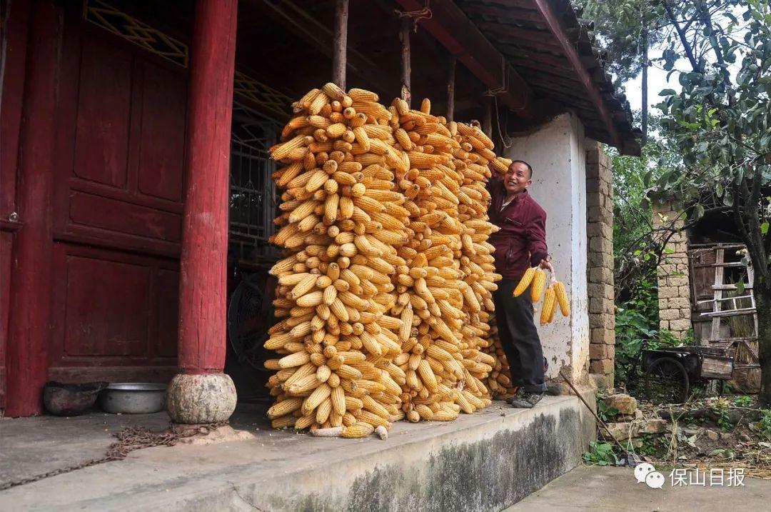德配天地是指什么生肖?定量解释落实