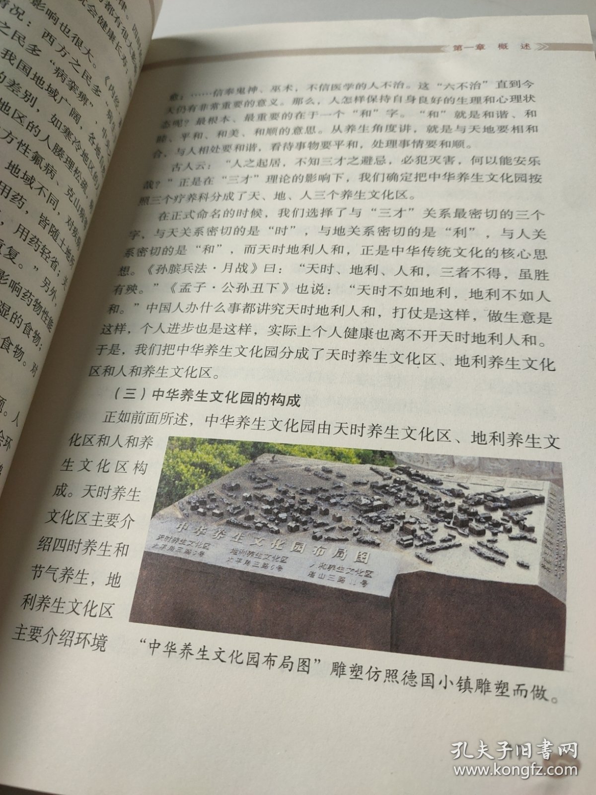 出英雄背后的生肖奥秘，实证解析与文化传承