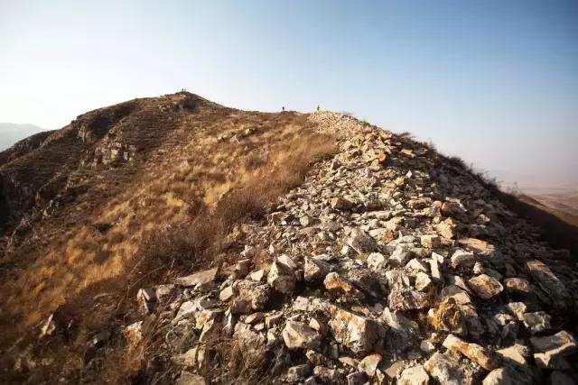十二生肖中的龙配，探寻最佳生肖搭配