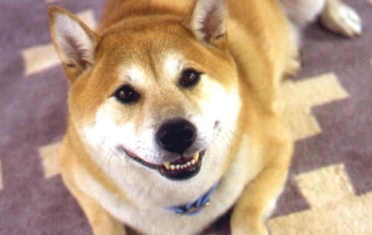 什么生肖喜欢笑，中蕴含的哲理