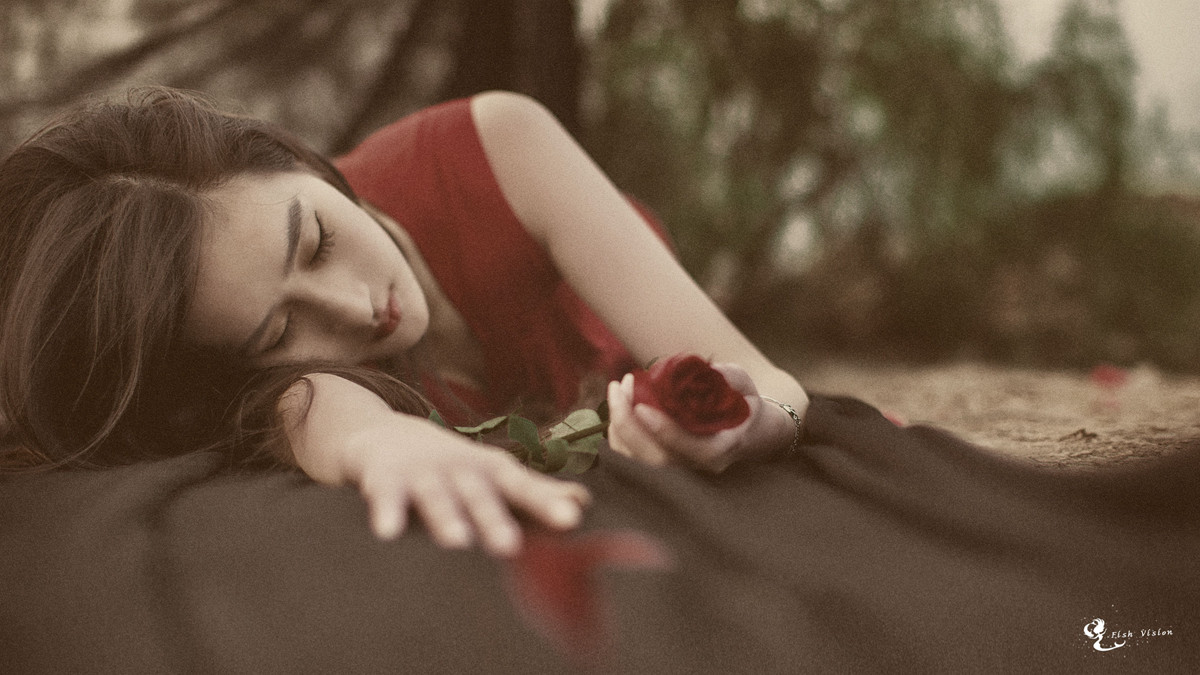 倾吐衷肠，猜一动物—解读与感悟