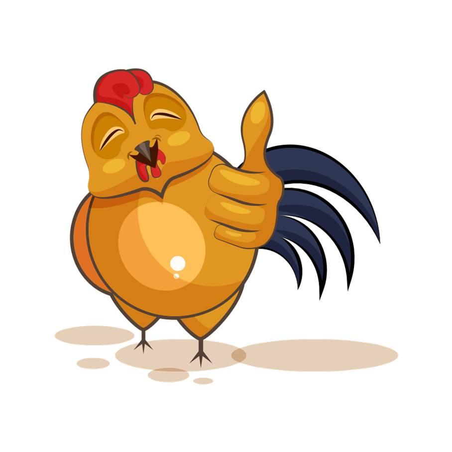 鸡的生肖号码与文化寓意探析