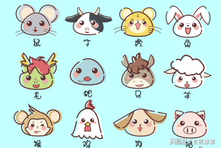 解密丢眉弄色背后的生肖玄机，一场文化与智慧的奇妙之旅