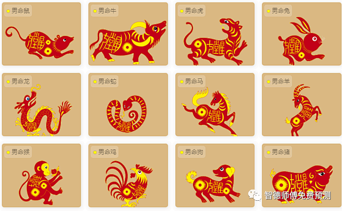 农历九月属什么生肖，绝佳解释落实