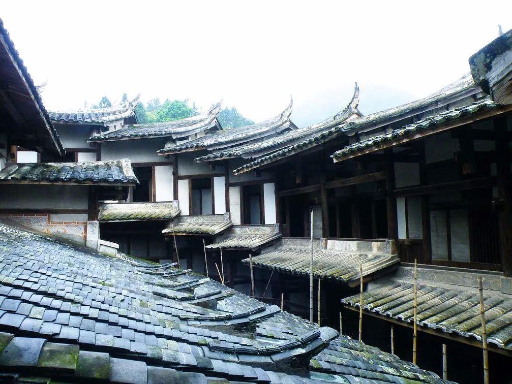 处之泰然，生肖中的淡定大师—牛的智慧与哲学