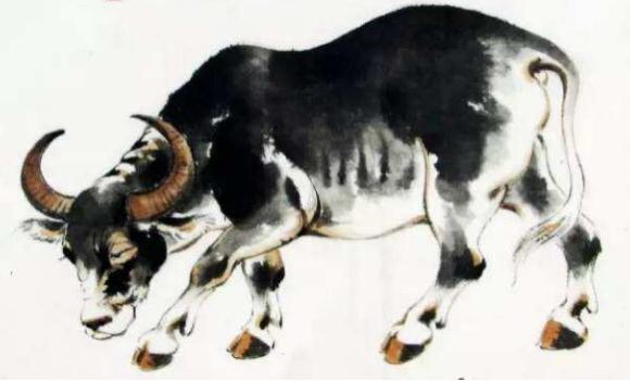 与牛三合生肖，专业作答落实解释