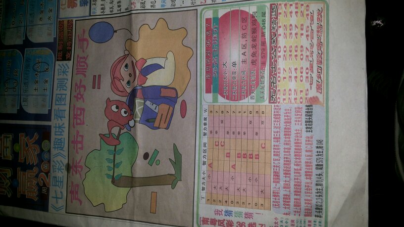 声东击西指的是什么生肖，一场误导解释的落实与反思