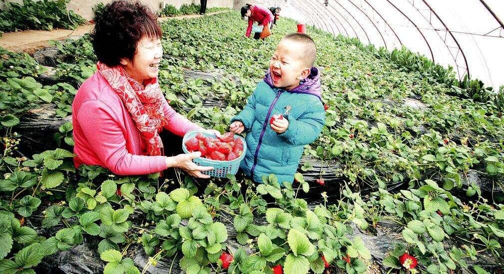 生肖龙和羊合不合，能人解释与现代生活的落实