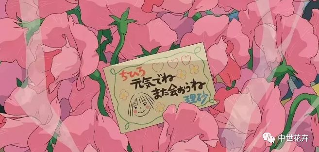 山穷水尽疑无路，生肖之谜与友爱的力量