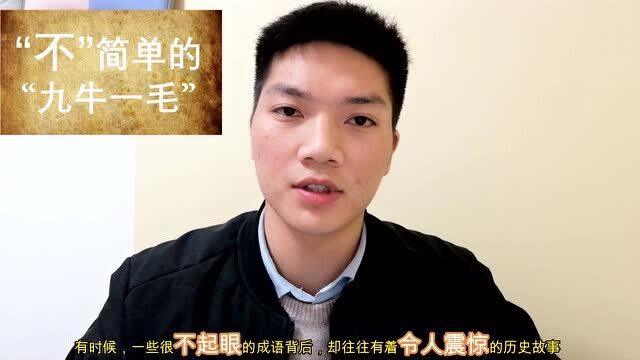 揭秘大智大勇的生肖，采民作答与深度解析