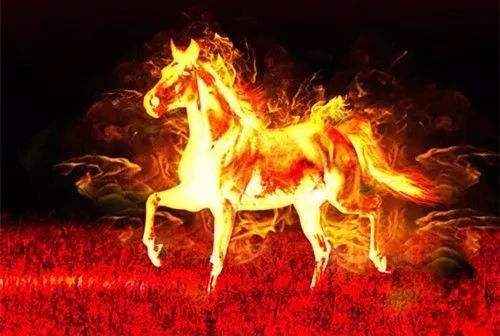 水火无情打一生肖，正确解释与落实