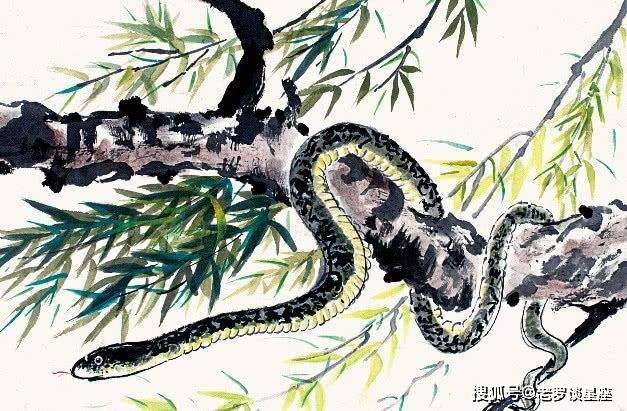 平步青云折桂枝猜一动物，实证解释落实