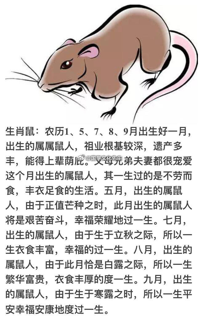 前辈是什么生肖，友爱作答落实解释