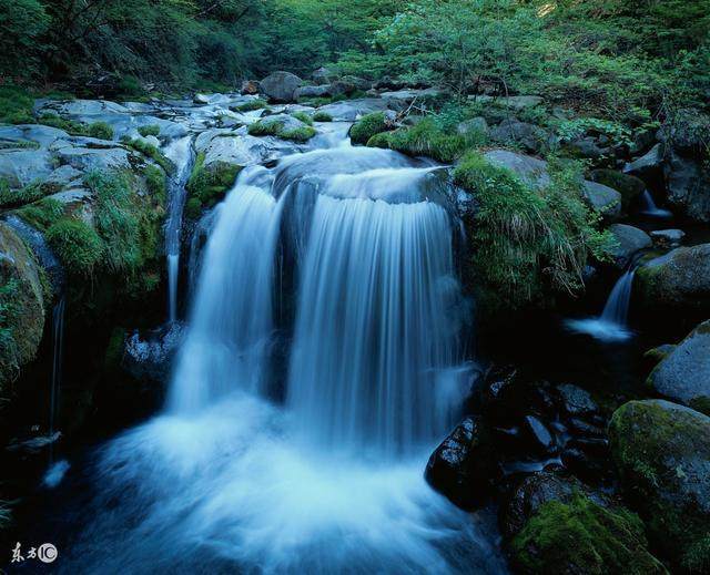 高山流水打一个生肖猜一生肖，采民作答落实解释