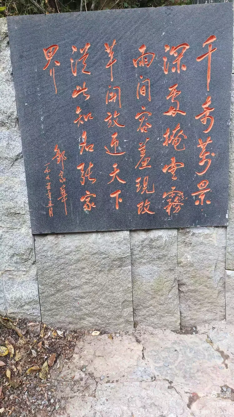 千辛万苦寻真谛，揭秘生肖背后的网络解释