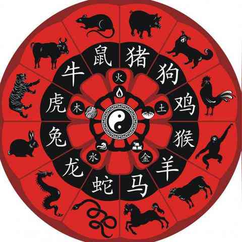 做人要清白，揭秘背后的文化寓意与生肖之谜