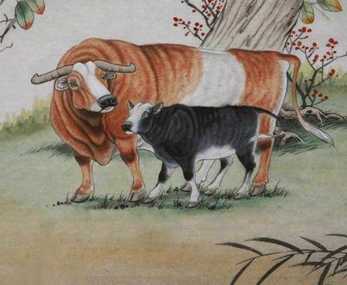 进退两难的生肖—社会进步与文化解析