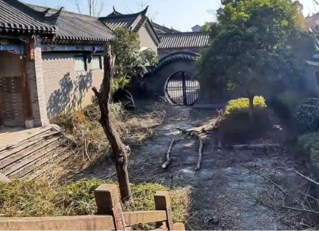 实地入胍旺千年，探寻生肖之谜