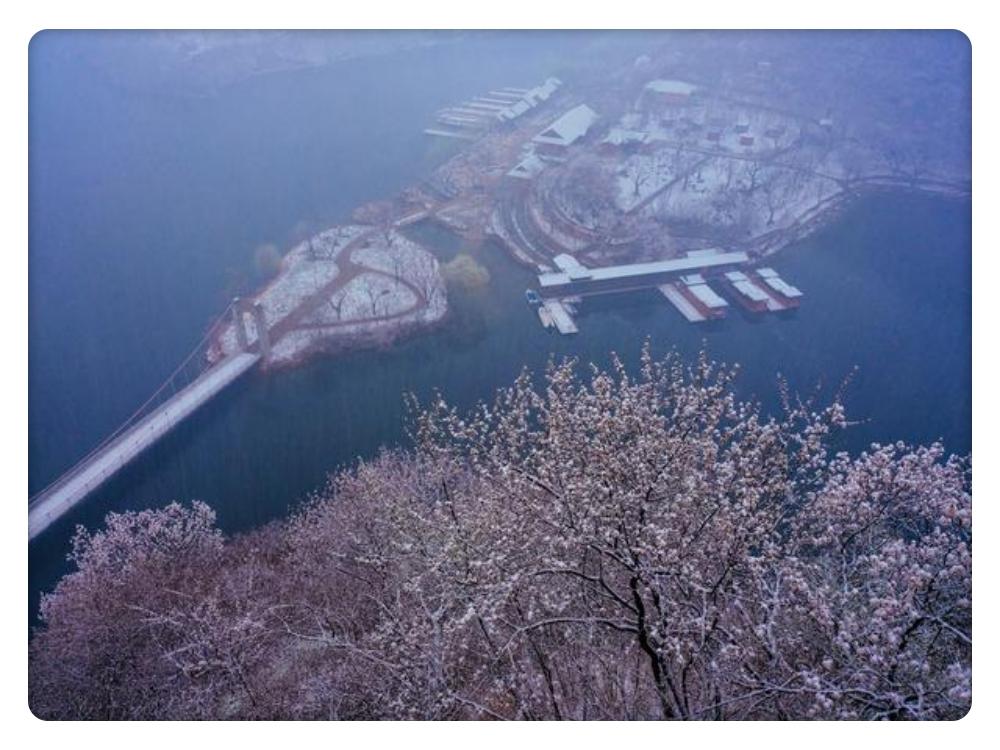 玉露代表的温馨解析与文化解答