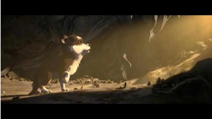 揭秘各霸一方背后的动物世界，一场自然法则的精彩演绎