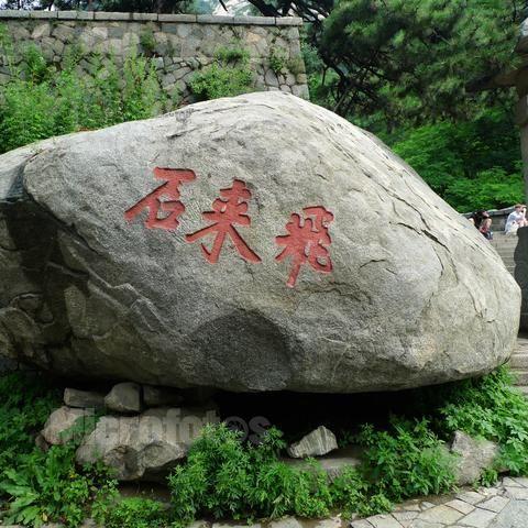 危如累卵,解密生肖之谜与积极行动的智慧 危如累卵,解密生肖之谜与积极行动的智慧