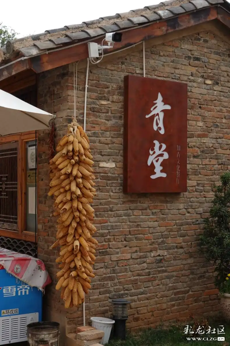 青堂瓦舍，生肖之谜与人生哲理的交织