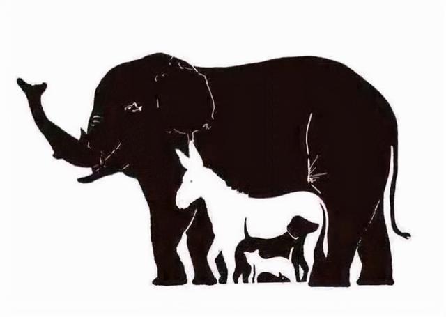 解析一表非凡猜一动物的温馨寓意与文化解读