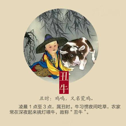 羊后面是什么生肖，一场关于生肖顺序的趣味探索