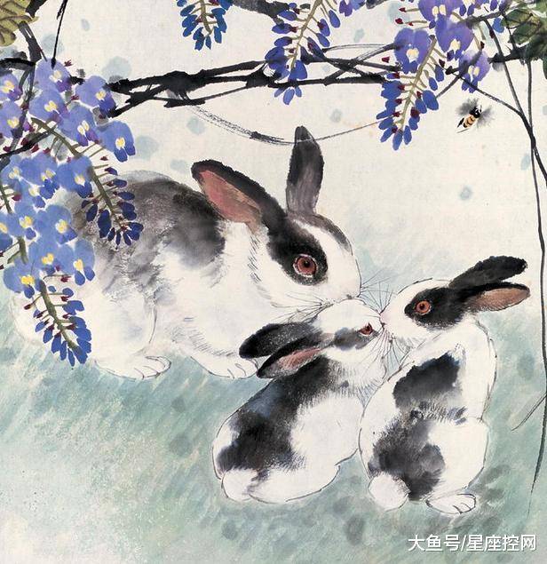 一枝独秀是什么生肖，新型作答落实解释