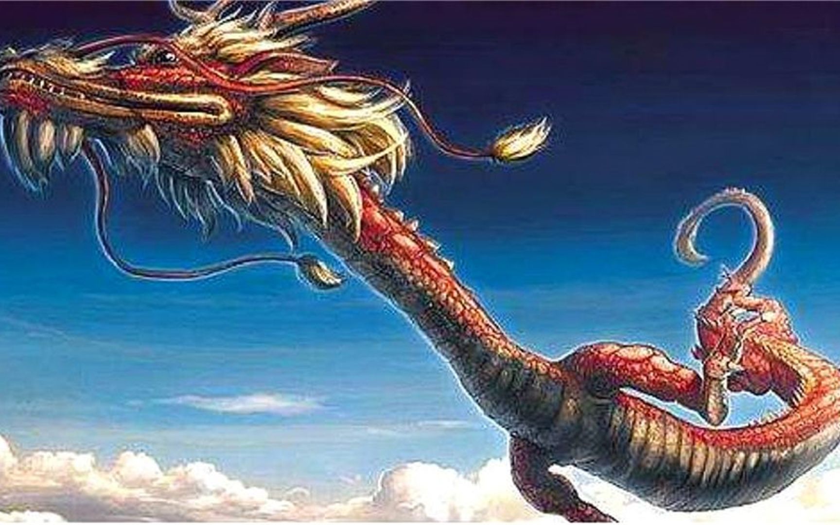 揭秘长命动物背后的生肖寓意，生肖龙的永恒之谜