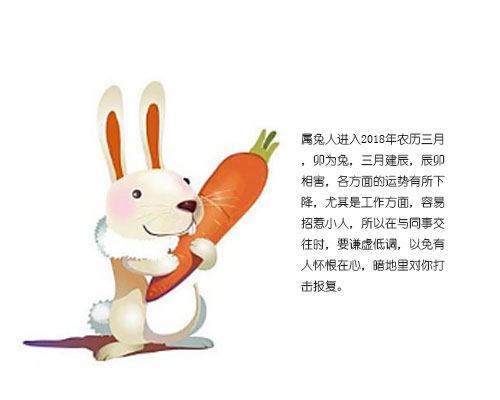 生肖之谜，想入非非的属兔人，如何将梦想转化为现实