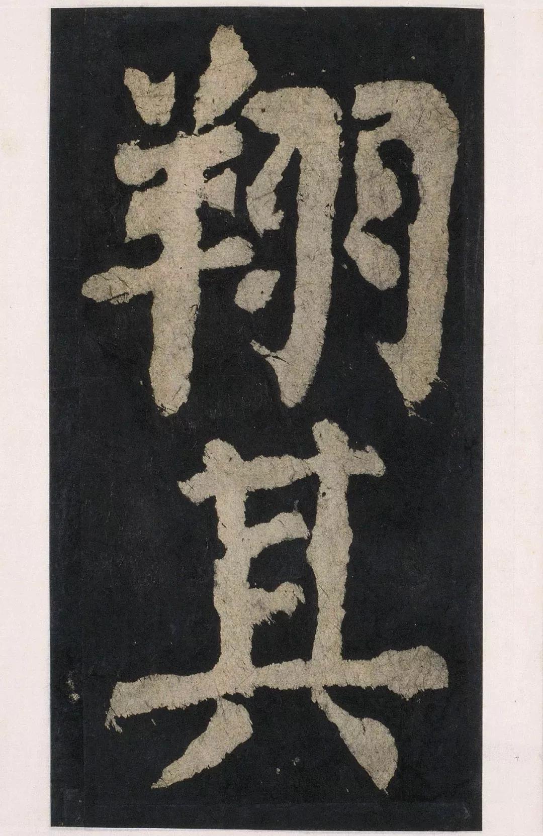 炉火纯青，揭秘猜一动物的智慧与速度