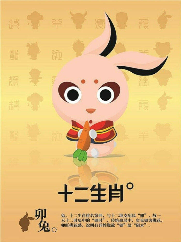 变化无方猜一生肖，详细作答落实解释