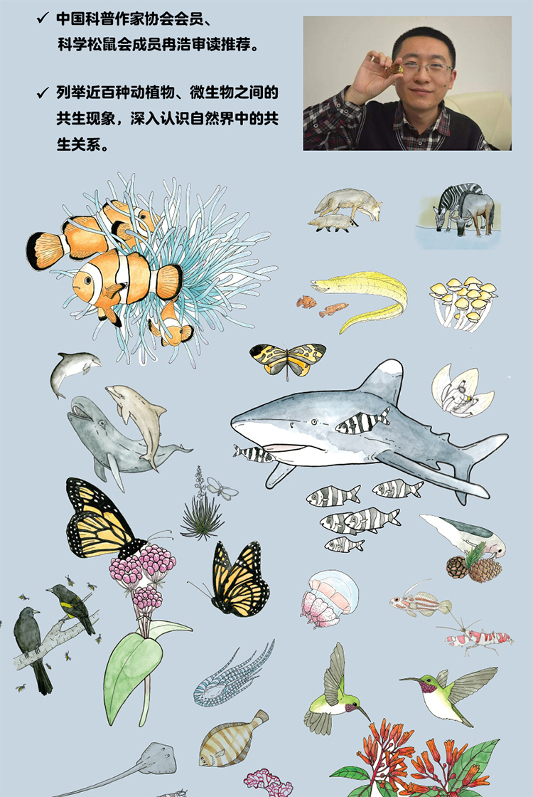 蛇为何惧螳螂，揭秘自然界的奇妙共生与相克