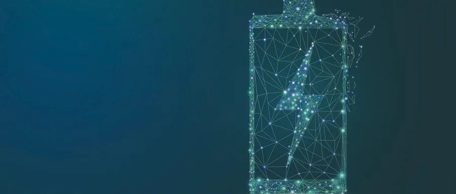 花拳绣腿猜一动物，之谜与人生哲理的深度解析