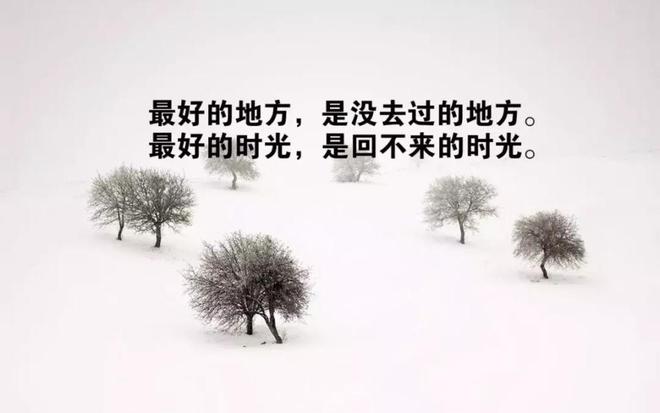 添砖加瓦是什么生肖，之谜与人生哲理的深度解析