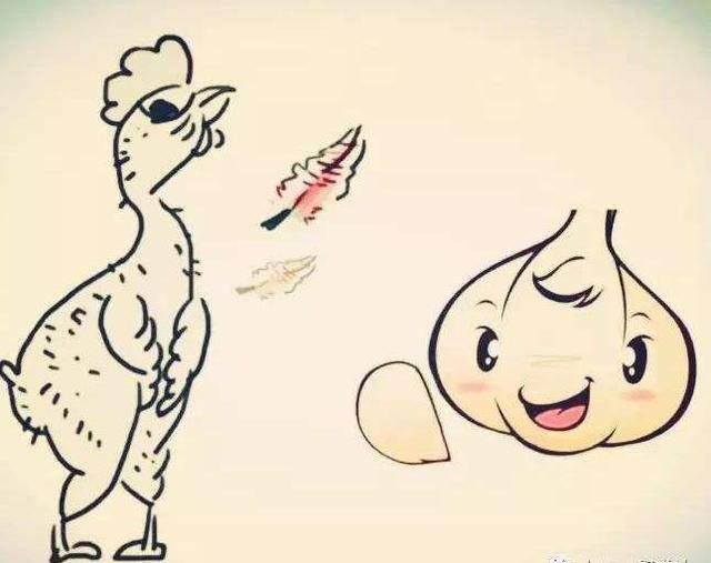 鸡毛蒜皮是什么生肖，神秘解释落实