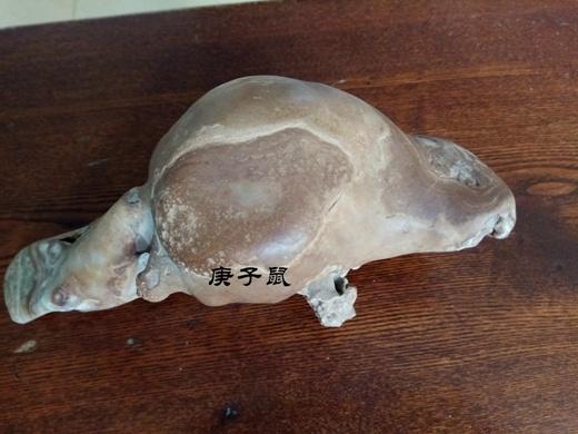 败子回头金不换，生肖解析与人生启示