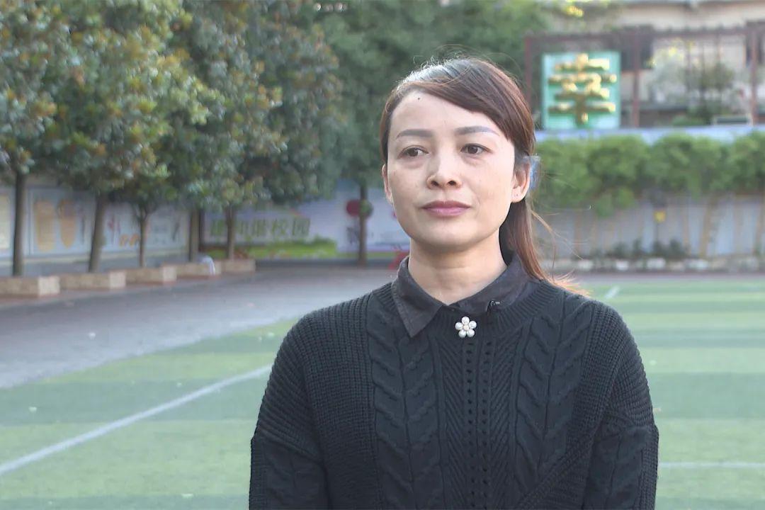 乌龟与生肖的奇妙联结，探索成就与落实的智慧