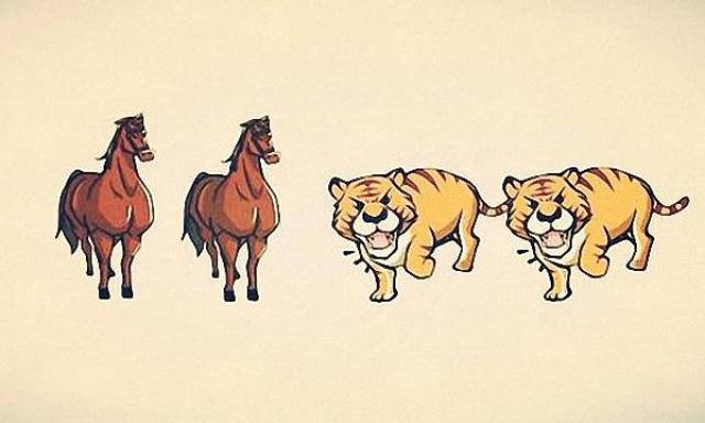 宽备窄用猜一动物，重点诠释解释落实