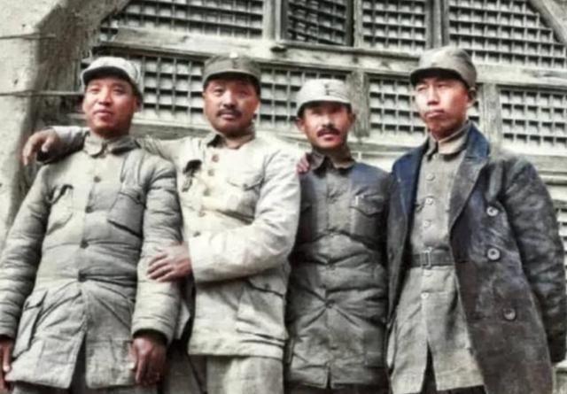 捕风捉影打一生肖动物，背后的坚韧与不屈