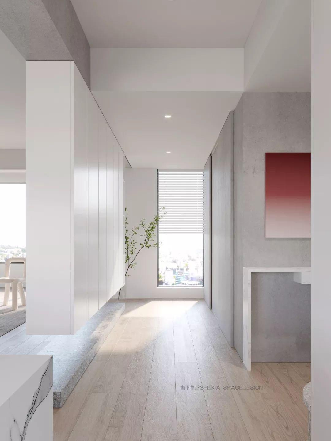 故作姿态，真相揭晓，生肖背后的文化与现实