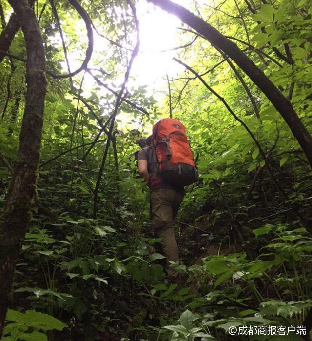 跋山涉水猜一动物，积极解释与落实的智慧之旅