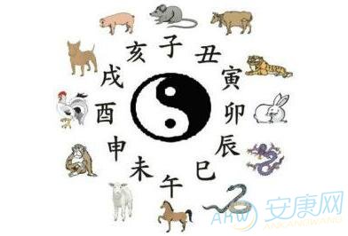 生肖是按阳历还是农历，背后的智慧与哲理