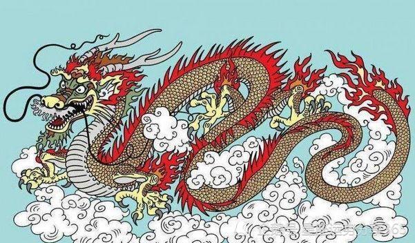 揭秘长命动物背后的生肖寓意，生肖龙的永恒之谜